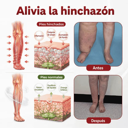 SwellVeil - Crema para la circulación de piernas