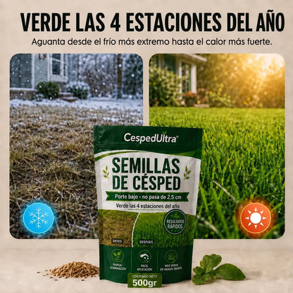 🌱PAGA 1 LLEVA 2 🌱Césped Ultra De Tierra Pelada A Alfombra Verde