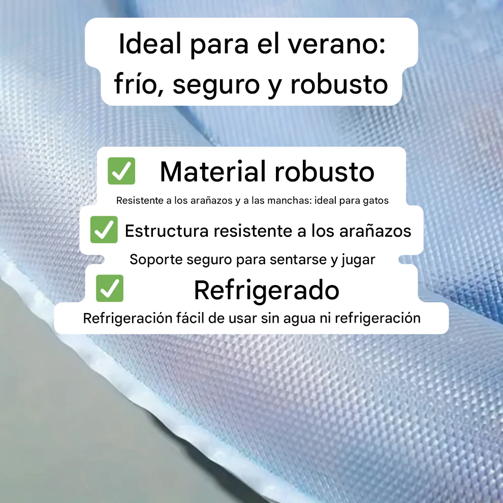 Alfombra de agua refrescante y para juegos de gatos