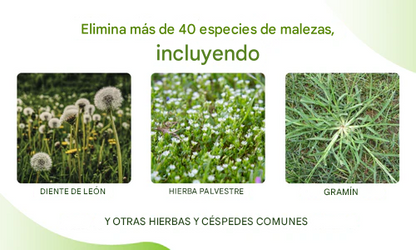 Herbicida de doble acción Timilk® ClearYard